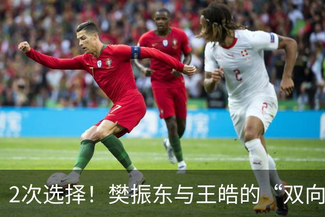 2次选择！樊振东与王皓的“双向奔赴”，藏着奥运金牌最深的秘密
